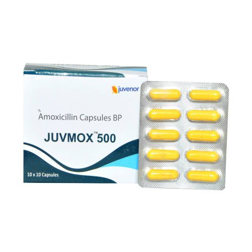 주브목스 500