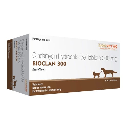 바이오클란 300