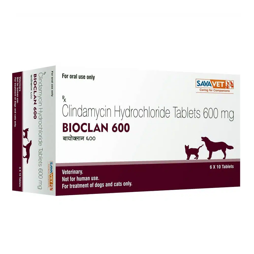 바이오클란 600 바이오클란 600